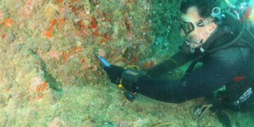 Conheça serviços de órgãos federais para se proteger de golpes