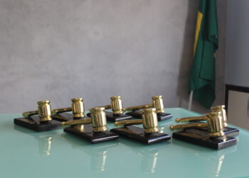 Brasil fecha 2025 com mais de 1,3 milhão de trabalhadores domésticos