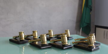 Brasil fecha 2025 com mais de 1,3 milhão de trabalhadores domésticos