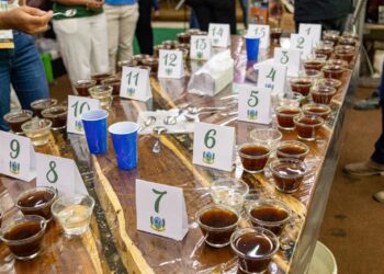 Prêmio para mulheres e meninas cientistas abre inscrições até outubro
