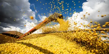Produção agrícola brasileira superou R$ 927 bilhões em 2025